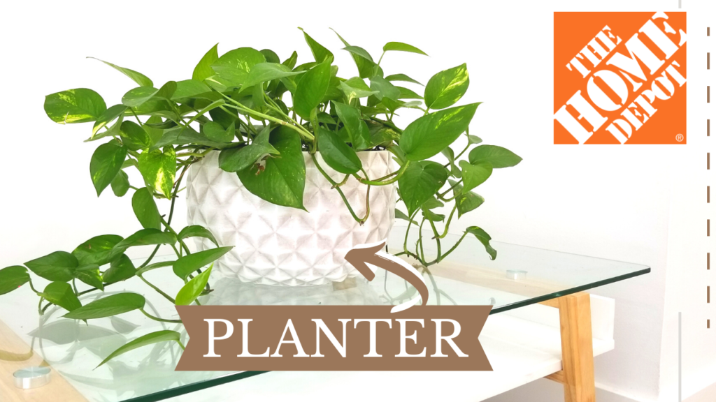 Medium planter for smaller floral arrangements